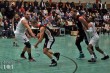 Thumbs/tn_IMG_8293.jpg
