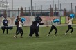 Thumbs/tn_IMG_0880.jpg