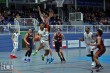 Thumbs/tn_IMG_3977.jpg