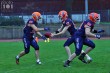 Thumbs/tn_IMG_0985.jpg