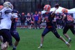 Thumbs/tn_IMG_1010.jpg
