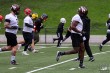 Thumbs/tn_IMG_2025.jpg