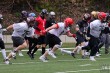 Thumbs/tn_IMG_2033.jpg