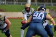 Thumbs/tn_IMG_4911.jpg