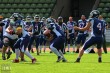 Thumbs/tn_IMG_5305.jpg