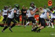 Thumbs/tn_IMG_5522.jpg