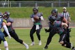 Thumbs/tn_IMG_6531.jpg
