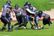 Thumbs/tn_IMG_6776.jpg
