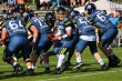 Thumbs/tn_IMG_6798.jpg
