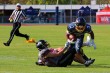 Thumbs/tn_IMG_6902.jpg