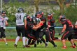 Thumbs/tn_IMG_7474.jpg