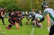 Thumbs/tn_IMG_7539.jpg