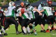 Thumbs/tn_IMG_7561.jpg