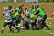 Thumbs/tn_IMG_9323.jpg