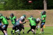 Thumbs/tn_IMG_9332.jpg