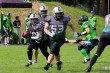 Thumbs/tn_IMG_9343.jpg