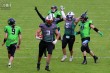 Thumbs/tn_IMG_9660.jpg