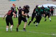 Thumbs/tn_IMG_0427.jpg