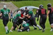 Thumbs/tn_IMG_0429.jpg