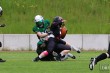 Thumbs/tn_IMG_0443.jpg