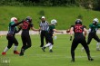 Thumbs/tn_IMG_0513.jpg