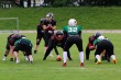 Thumbs/tn_IMG_0612.jpg