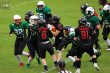 Thumbs/tn_IMG_0664.jpg