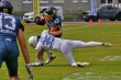 Thumbs/tn_IMG_0843.jpg