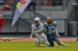 Thumbs/tn_IMG_0890.jpg