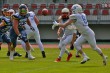Thumbs/tn_IMG_0937.jpg