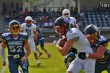 Thumbs/tn_IMG_0994.jpg