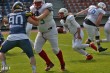 Thumbs/tn_IMG_1009.jpg