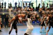 Thumbs/tn_IMG_1283.jpg