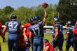 Thumbs/tn_IMG_1922.jpg