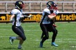 Thumbs/tn_IMG_2968.jpg