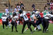 Thumbs/tn_IMG_2984.jpg