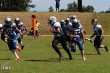 Thumbs/tn_IMG_4157.jpg