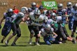Thumbs/tn_IMG_4214.jpg