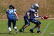 Thumbs/tn_IMG_4237.jpg
