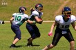 Thumbs/tn_IMG_4344.jpg