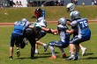Thumbs/tn_IMG_4474.jpg