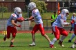 Thumbs/tn_IMG_7130.jpg