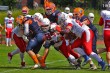 Thumbs/tn_IMG_7223.jpg