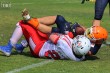 Thumbs/tn_IMG_7943.jpg