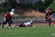 Thumbs/tn_IMG_8317.jpg