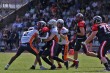 Thumbs/tn_IMG_8354.jpg