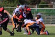 Thumbs/tn_IMG_8810.jpg