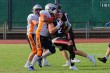 Thumbs/tn_IMG_8817.jpg