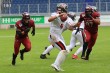 Thumbs/tn_IMG_3785.jpg