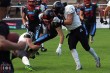 Thumbs/tn_IMG_5380.jpg